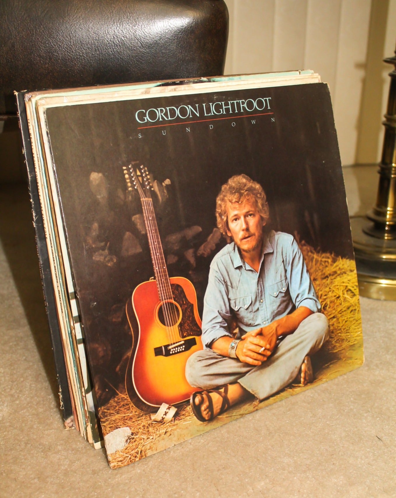 Gordon Lightfoot Vinyl