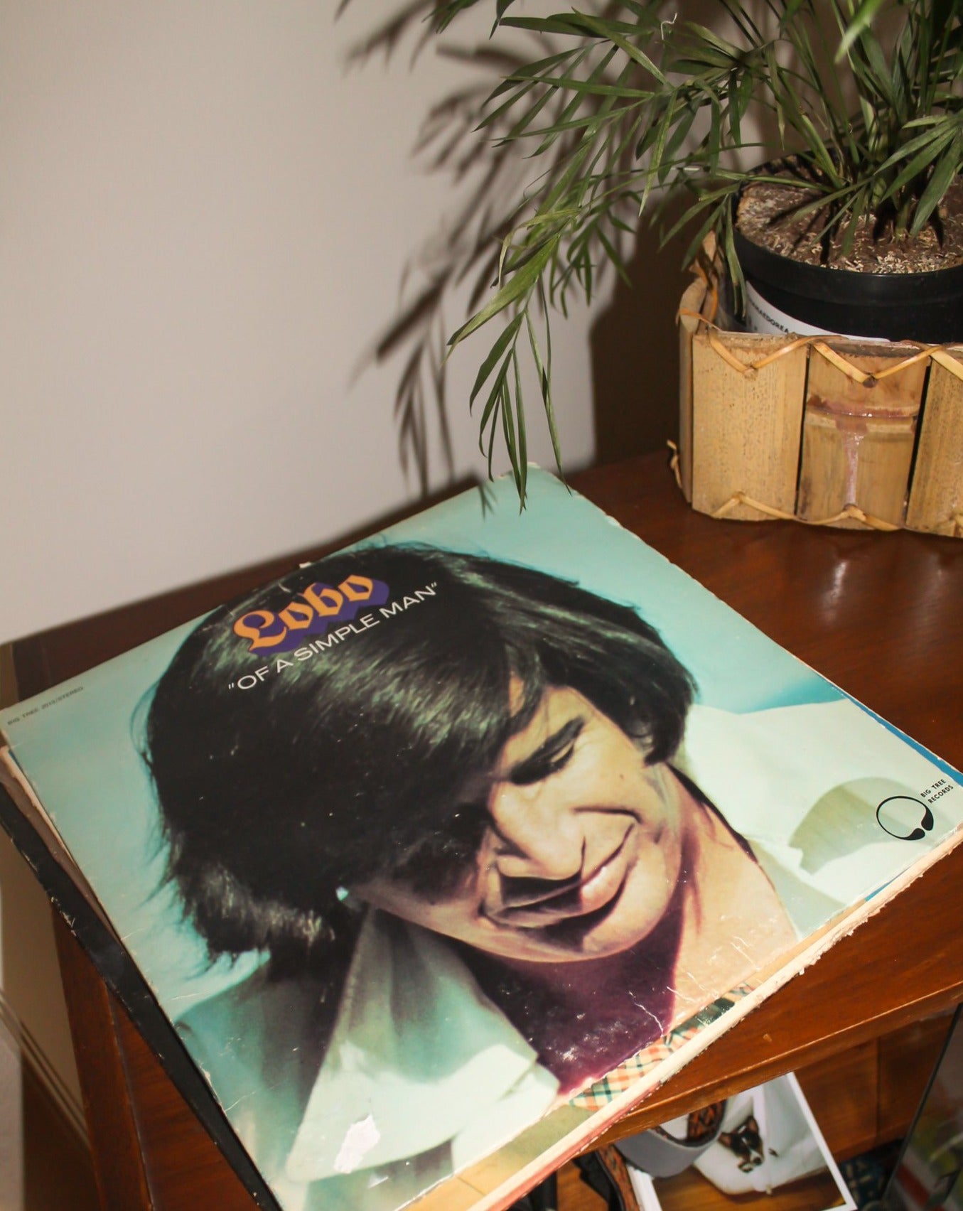 70s Lobo Vinyl